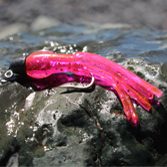 Squid Rigged with Hook